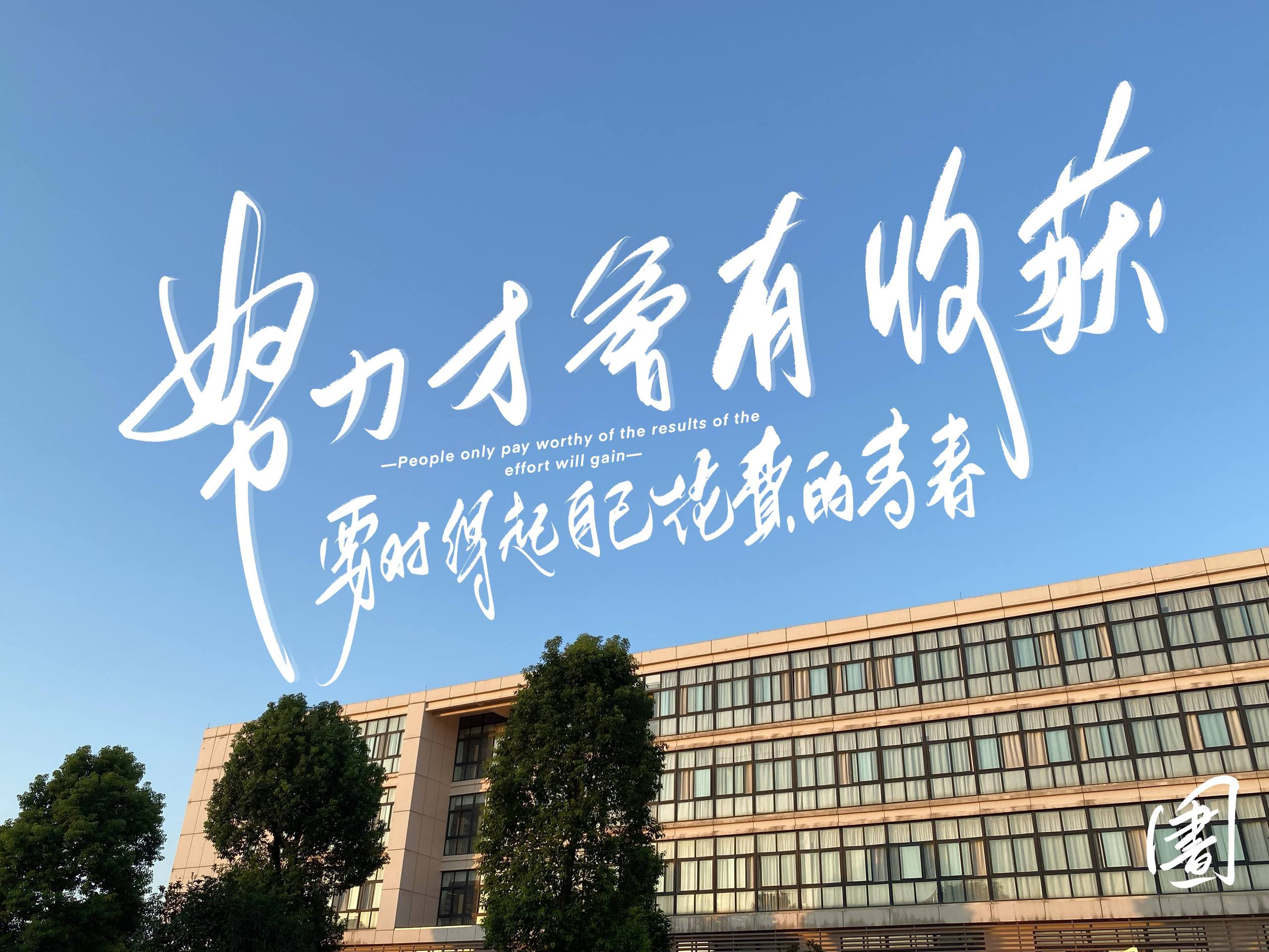 考研冲刺必备！紫色护眼壁纸，让你的平板变身学习神器